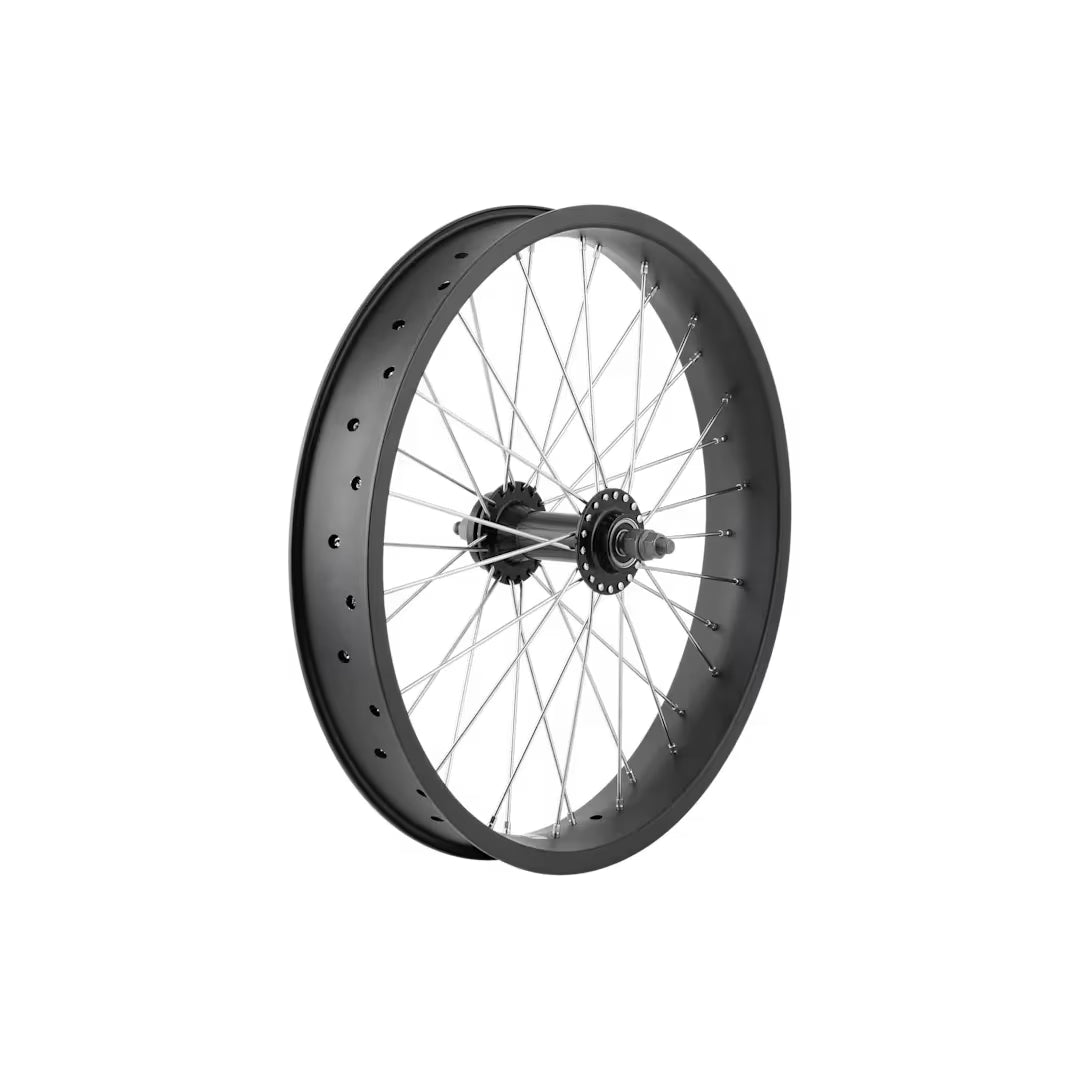 Electra Ponto Go! 20˝ Wheel - Front, No cassette