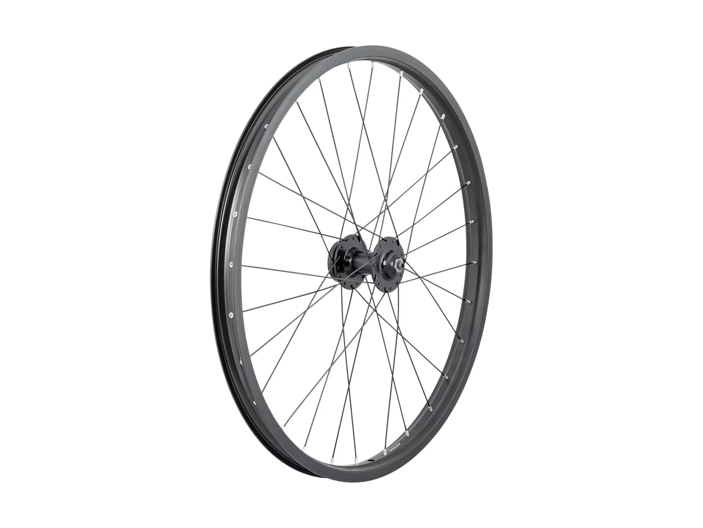 Trek 24˝ Disc MTB Wheel