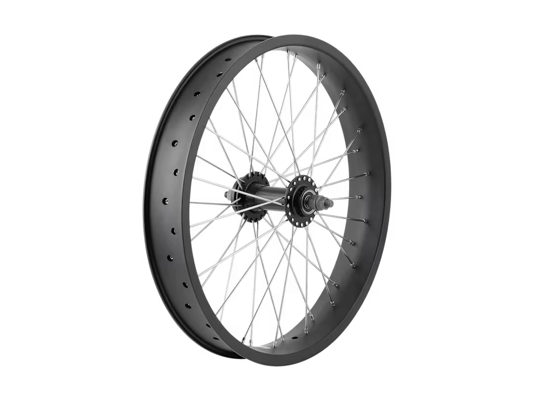 Electra Ponto Go! 20˝ Wheel - Front, No cassette