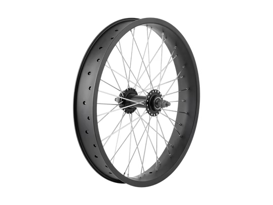Electra Ponto Go! 20˝ Wheel - Front, No cassette